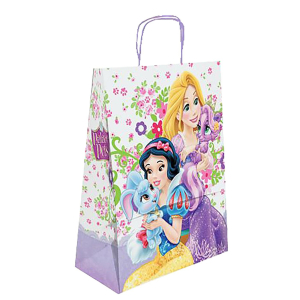 19-360 Τσάντα Δώρου Χάρτινη Princess (32cm) 32x24x10cm χονδρική, Ψιλικά χονδρική