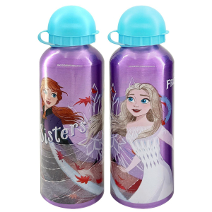 50-2308 Παγούρι Μεταλλικό Frozen 2 21x6,5cm   500ml χονδρική, Σχολικά χονδρική