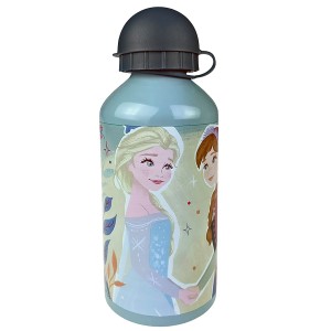 50-2881 ΠΑΓΟΥΡΙ ΑΛΟΥΜΙΝΙΟΥ FROZEN 500ml χονδρική, Σχολικά χονδρική